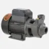 Bomba Superficie QB80B BERCATTI | Vielco