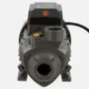 Bomba Superficie QB80B BERCATTI | Vielco