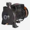 Bomba Superficie CPM130B BERCATTI | Vielco