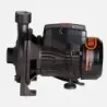 Bomba Superficie CPM130B BERCATTI | Vielco