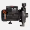 Bomba Superficie CPM130B BERCATTI | Vielco