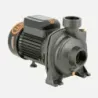 Bomba Superficie BHFM6B BERCATTI | Vielco