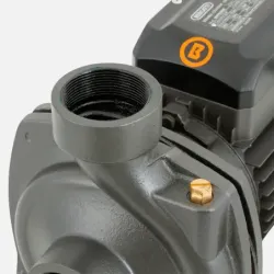Bomba Superficie BHFM6C BERCATTI | Vielco