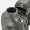 Bomba Superficie BHFM6C BERCATTI | Vielco