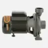 Bomba Superficie BHFM6AR BERCATTI | Vielco