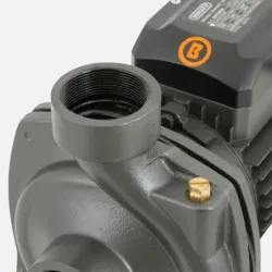 Bomba Superficie BHFM6AR BERCATTI | Vielco