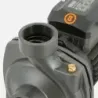 Bomba Superficie BHFM6AR BERCATTI | Vielco
