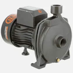 Bomba Superficie CPM158B BERCATTI | Vielco