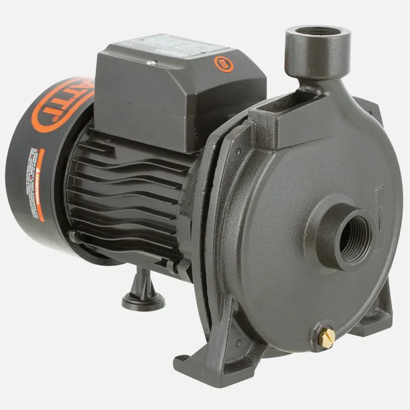 Bomba Superficie CPM158B BERCATTI | Vielco