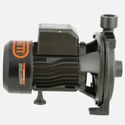 Bomba Superficie CPM158B BERCATTI | Vielco