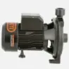 Bomba Superficie CPM158B BERCATTI | Vielco