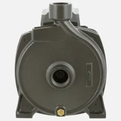 Bomba Superficie CPM158B BERCATTI | Vielco
