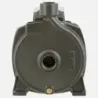 Bomba Superficie CPM158B BERCATTI | Vielco
