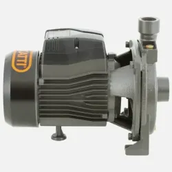Bomba Superficie CPM170B BERCATTI | Vielco