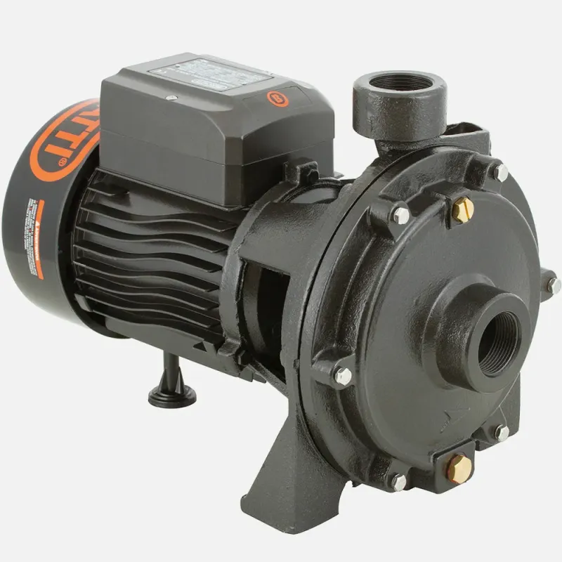Bomba Superficie 2SGPM140 BERCATTI | Vielco