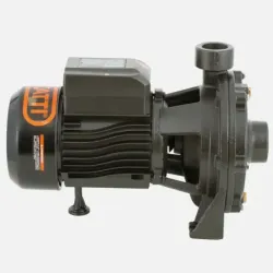 Bomba Superficie 2SGPM140 BERCATTI | Vielco