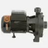 Bomba Superficie 2SGPM140 BERCATTI | Vielco