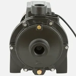 Bomba Superficie 2SGPM140 BERCATTI | Vielco