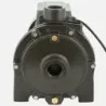 Bomba Superficie 2SGPM140 BERCATTI | Vielco