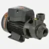 Bomba Superficie QB60B BERCATTI | Vielco