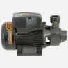 Bomba Superficie QB60B BERCATTI | Vielco