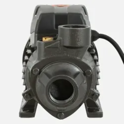 Bomba Superficie QB60B BERCATTI | Vielco