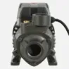 Bomba Superficie QB60B BERCATTI | Vielco