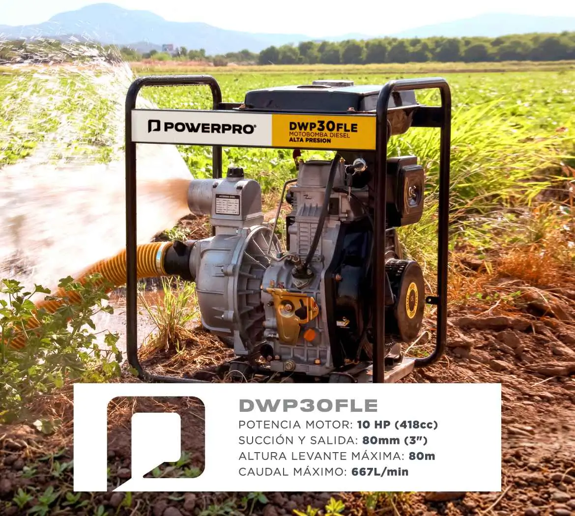 DWP30FLE